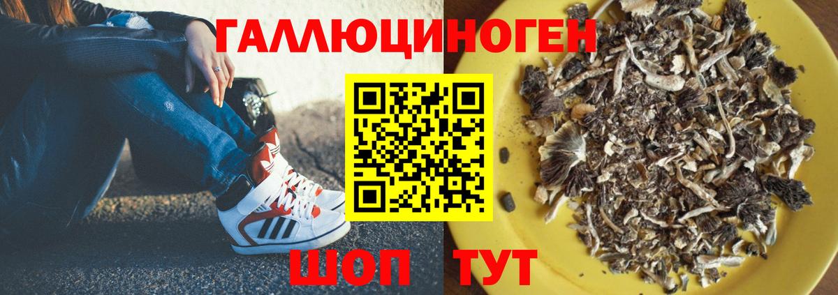 Галлюциногенные грибы мицелий  Псилоцибиновые грибы ЛСД  Вход с VPN  Будённовск 